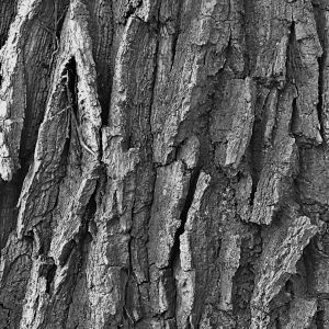 Naturheilpraxis Eva Kremser: Strukturelle Integration